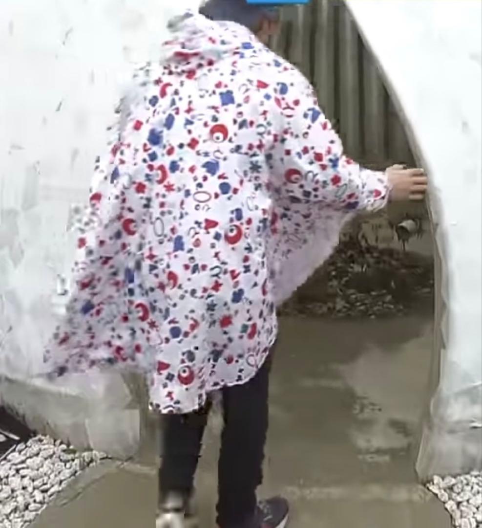 ⭐️新品未開封⭐️ ミャクミャク レインポンチョ（EXPO 2025公式限定