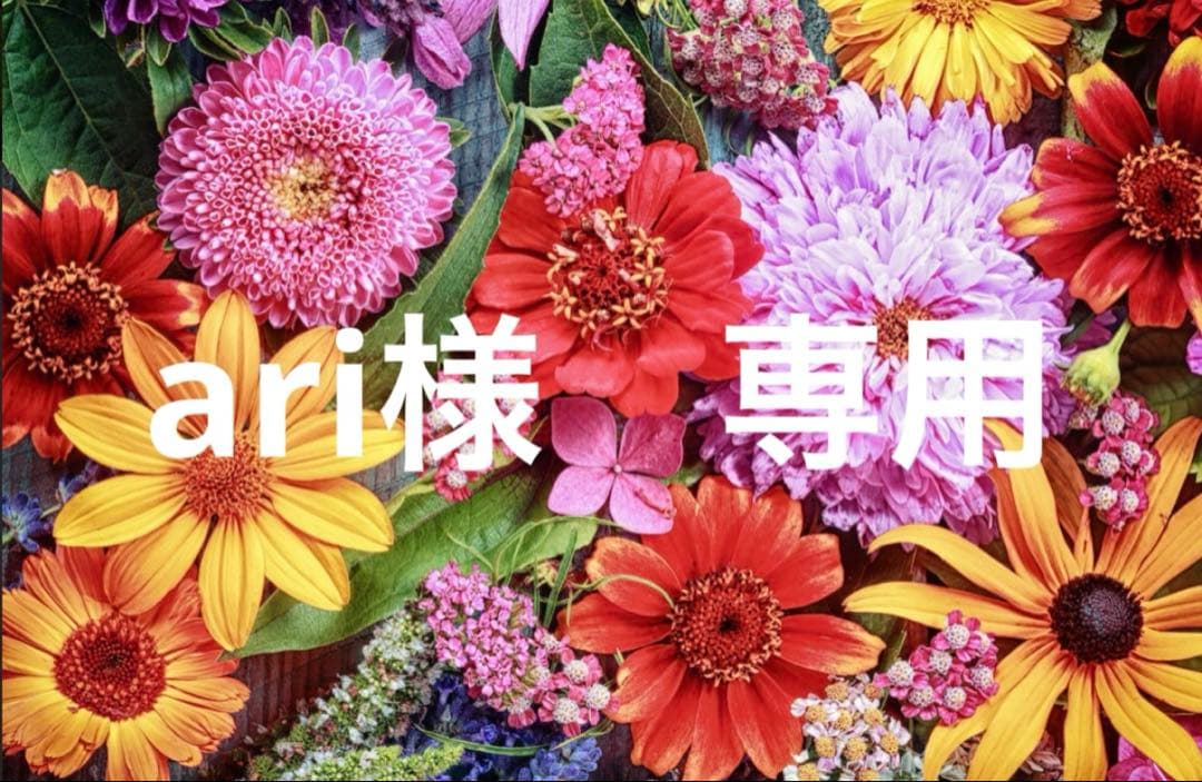 ari Aryle Zip Soft Toe,810951