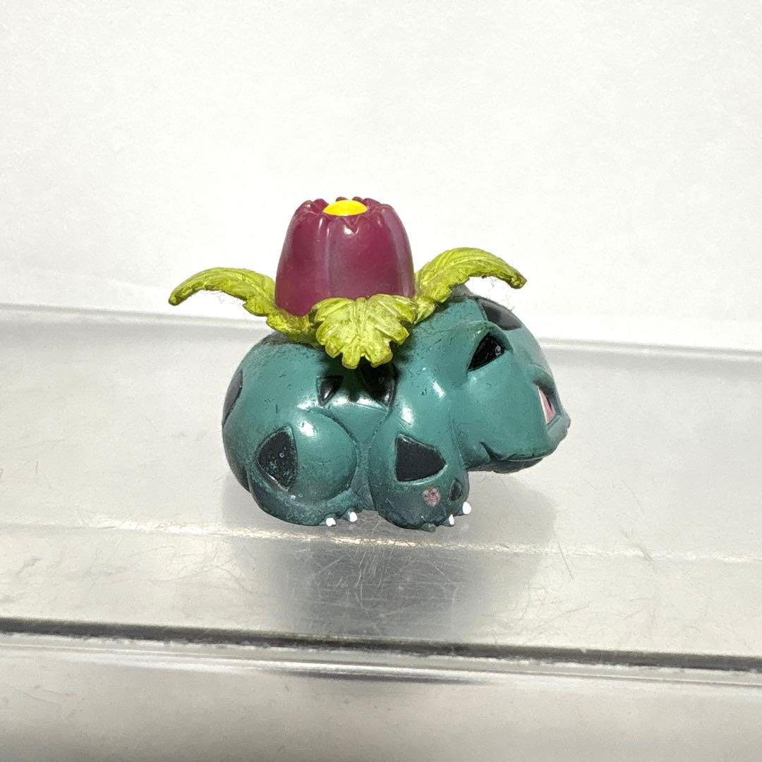 レア】ポケモン モンコレ/モンスターコレクション フシギソウ 初期