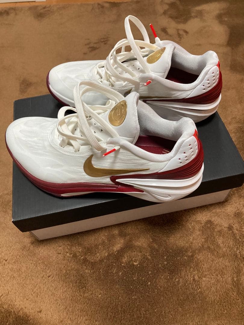 NIKE AIR ZOOM G.T. CUT2 - シューズ(男性用)新しい