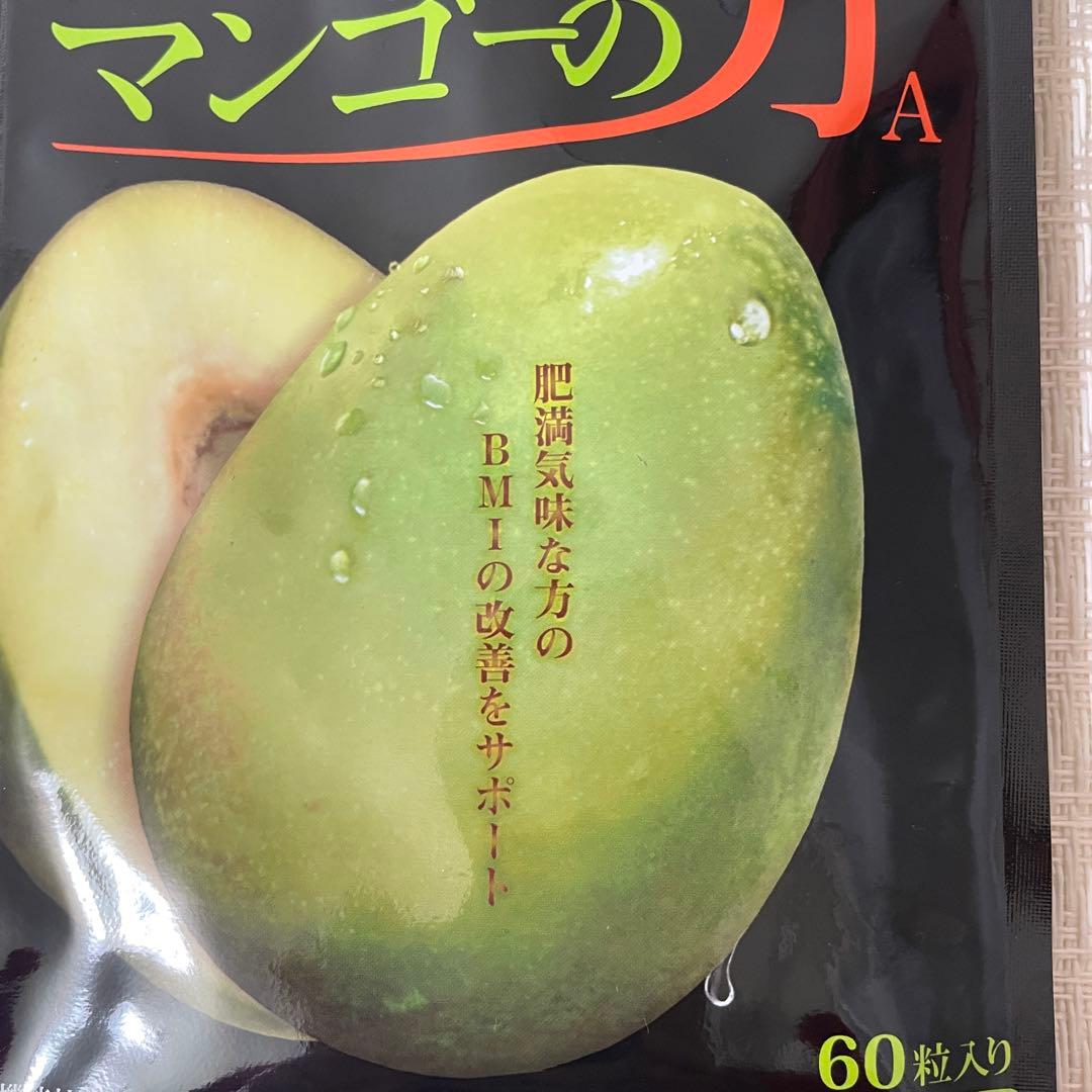 新品 ワイルドマンゴーの力 健やか総本舖亀山堂 60粒 2袋 送料無料