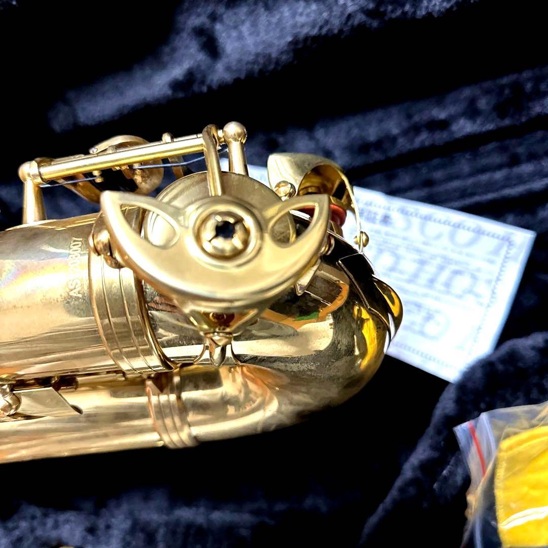 HOSCO /ホスコ Selection SAS-50L アルトサックス