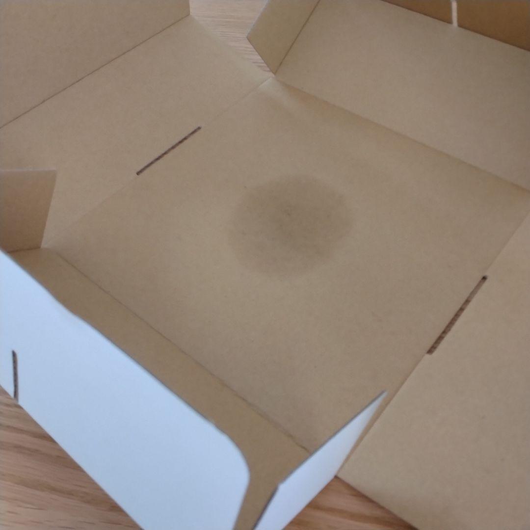 N*I様 落札キャンセルによる再出品 MOCMOC グラキリス 木製 枯れないグ