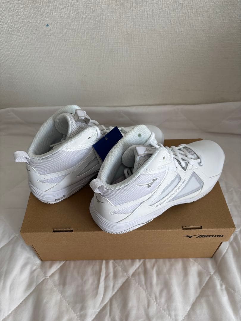 ミズノウェーブダイバーズLG4 23.5cm