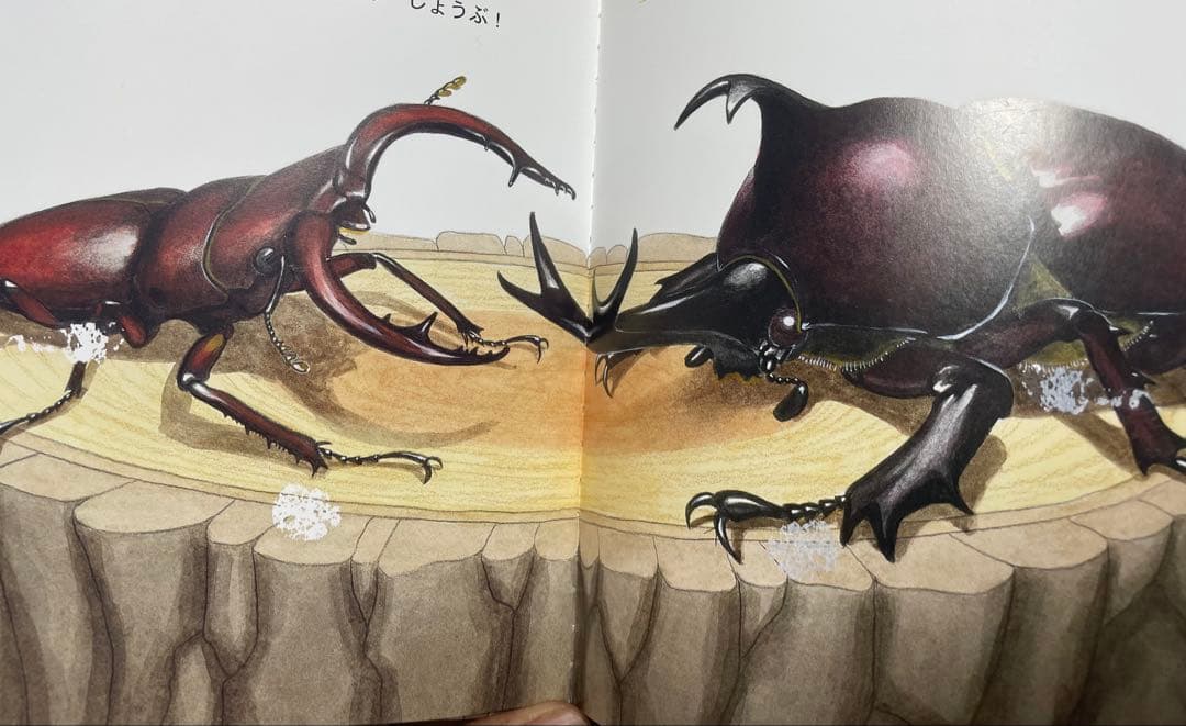 ☆全て福音館×厳選☆ くもん推薦図書 ロングセラー 絵本まとめ売り