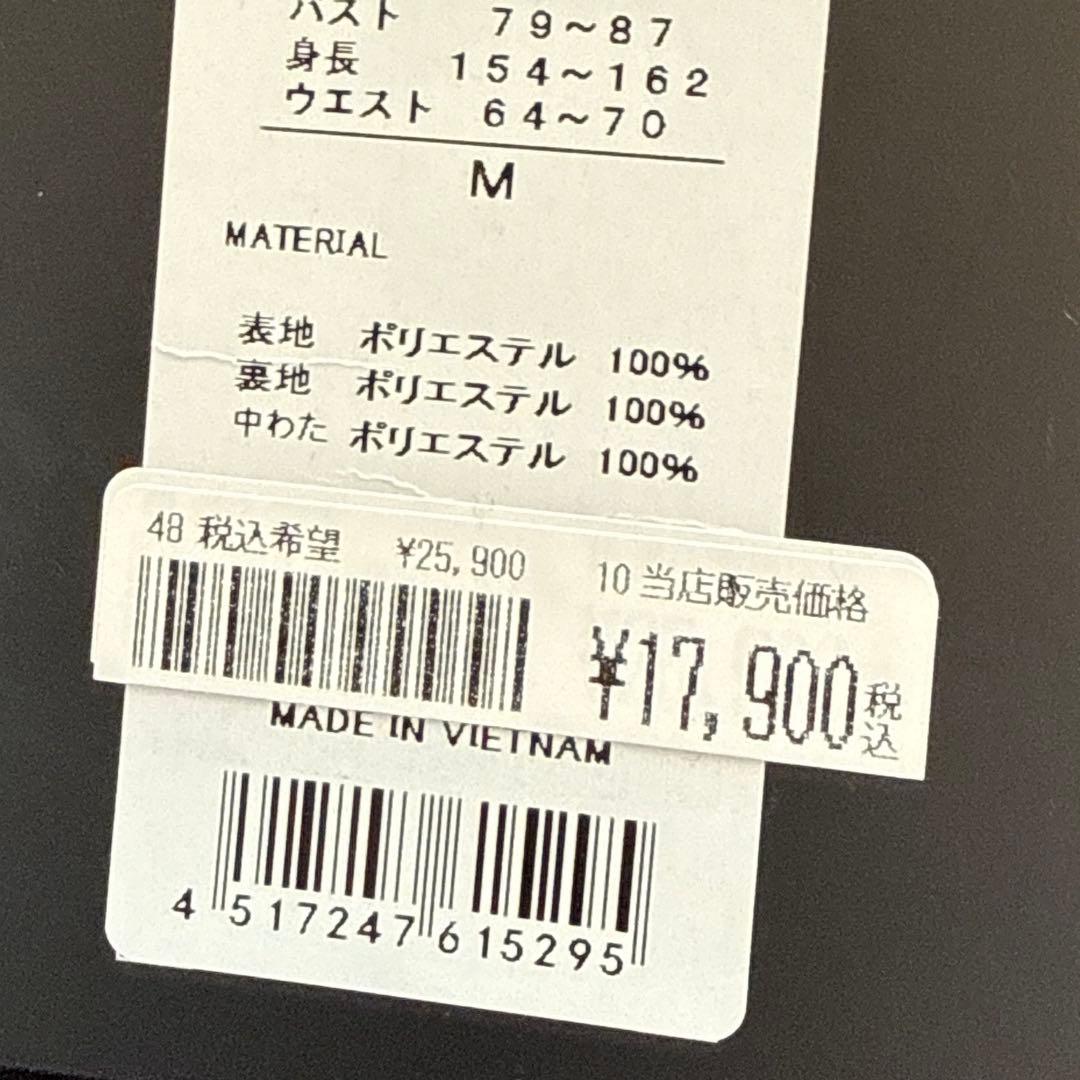 2025年購入 お洒落 ウィンデックス スキーウエア ジャケットのみ