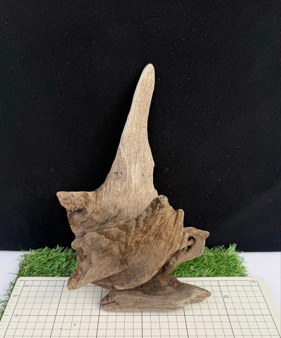 煮沸・沈水確認済み】 C1 天然流木 アクアリウム、爬虫類用 - メルカリ