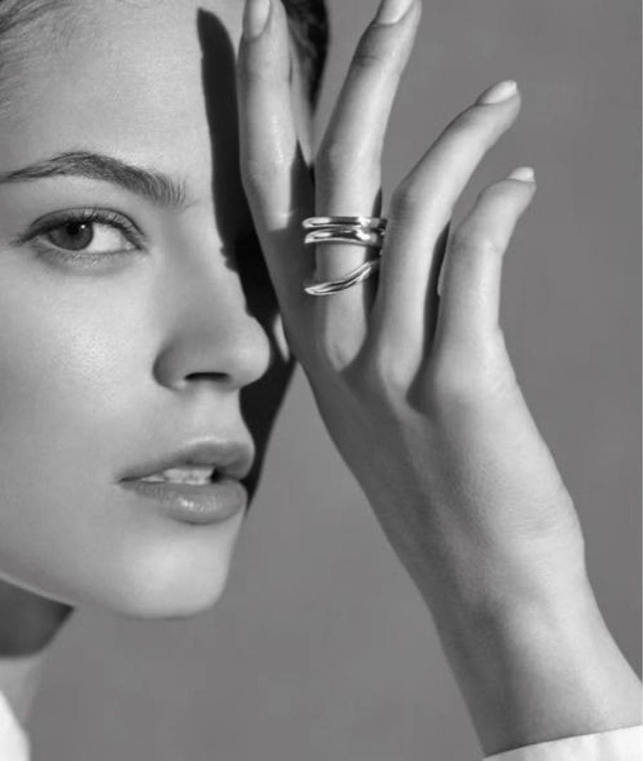 ブランイリス　blanc irisシルバーリング　18号 BLANC IRIS/ブランイリス】エボリューションリング（リング）｜blanc