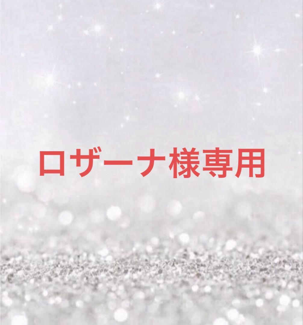 ロザーナ カワサキ ZX-6R 2019年式 2BL-ZX636Gの諸元・スペック情報 | ウェビック