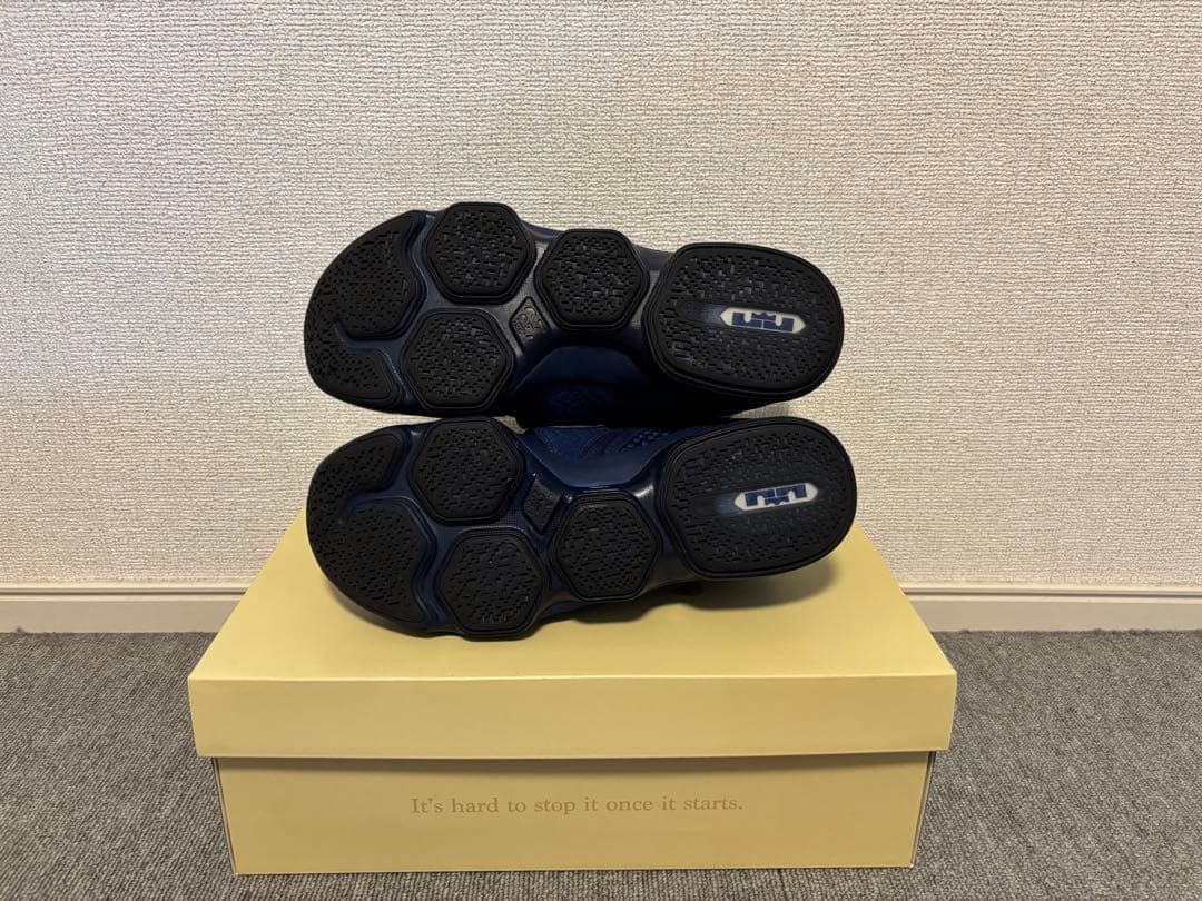 NIKE レブロン 14 リミテッド 25.5cm