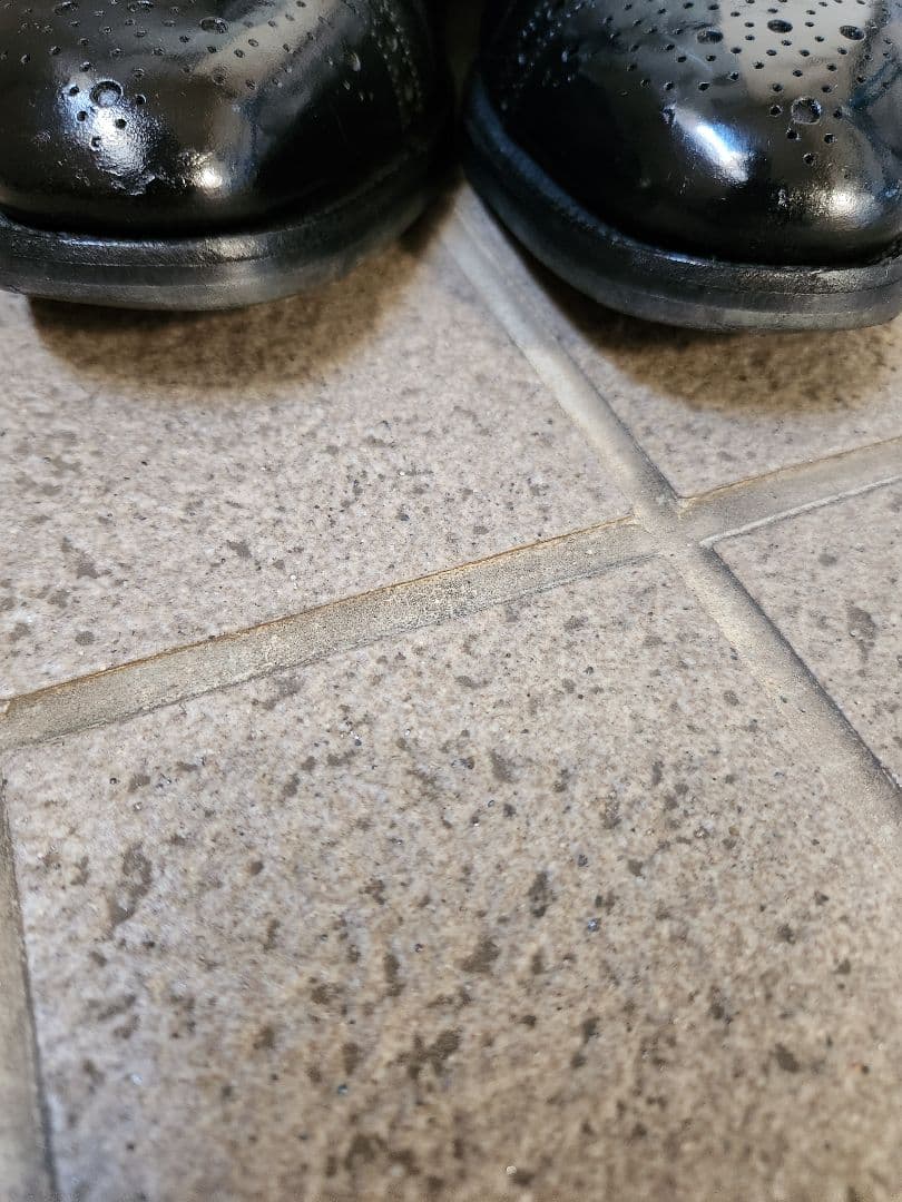 J.M.WESTON セミブローグ 310 5 1/2D