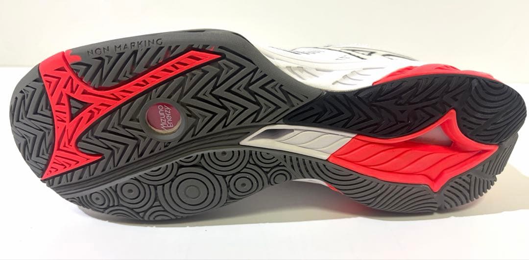 バドミントン ミズノ シューズ ウエーブファング 2 24.5cm 3E