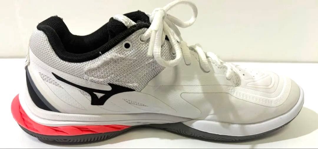 バドミントン ミズノ シューズ ウエーブファング 2 24.5cm 3E