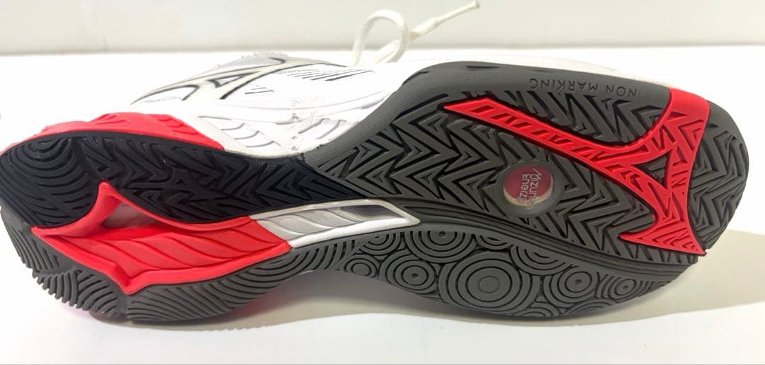 バドミントン ミズノ シューズ ウエーブファング 2 24.5cm 3E