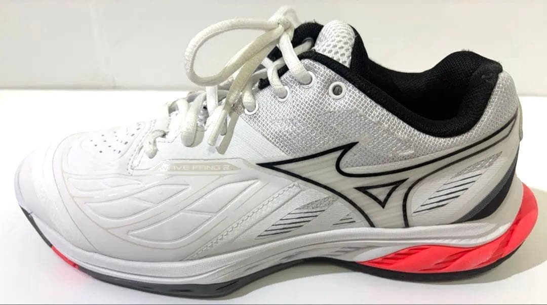 バドミントン ミズノ シューズ ウエーブファング 2 24.5cm 3E