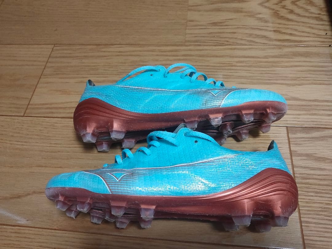 新着スポーツ・レジャー - MIZUNOアルファ JAPAN 25.0cm W杯限定カラー