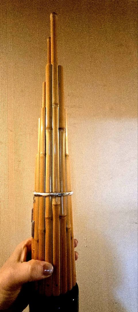 早い者勝ち★6/10まで値下しています。白竹、2024年購入 美品（鳴ります）