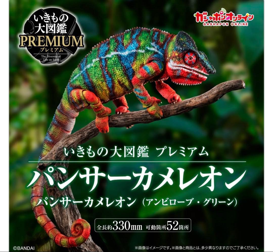 いきもの大図鑑 プレミアム パンサーカメレオン アンビローブ
