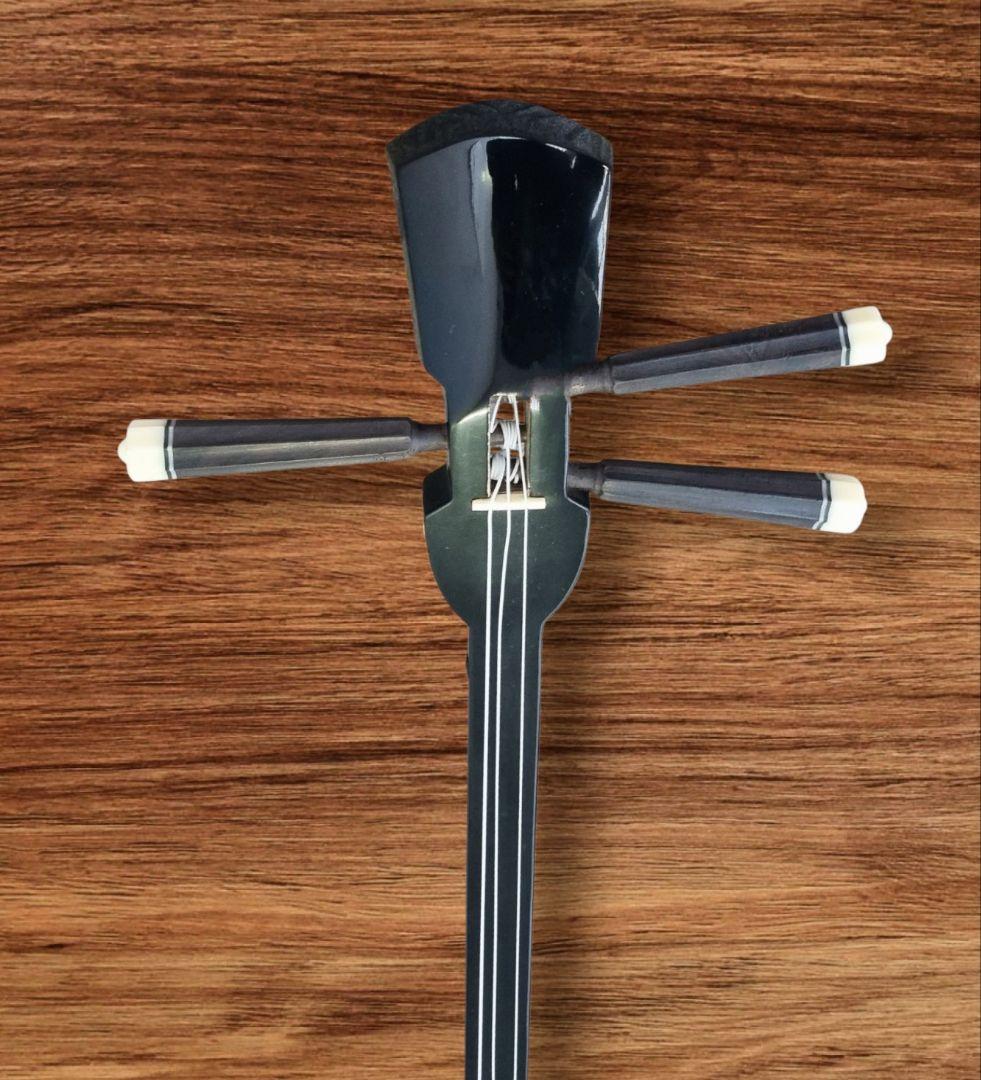 ヘビ皮三線 専用ケース付き 沖縄の通販はau PAY マーケット - 輸入雑貨