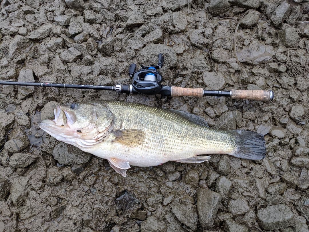 ジャッカル×シマノ 11ポイズングロリアス169MH VANQUISH 2ピース