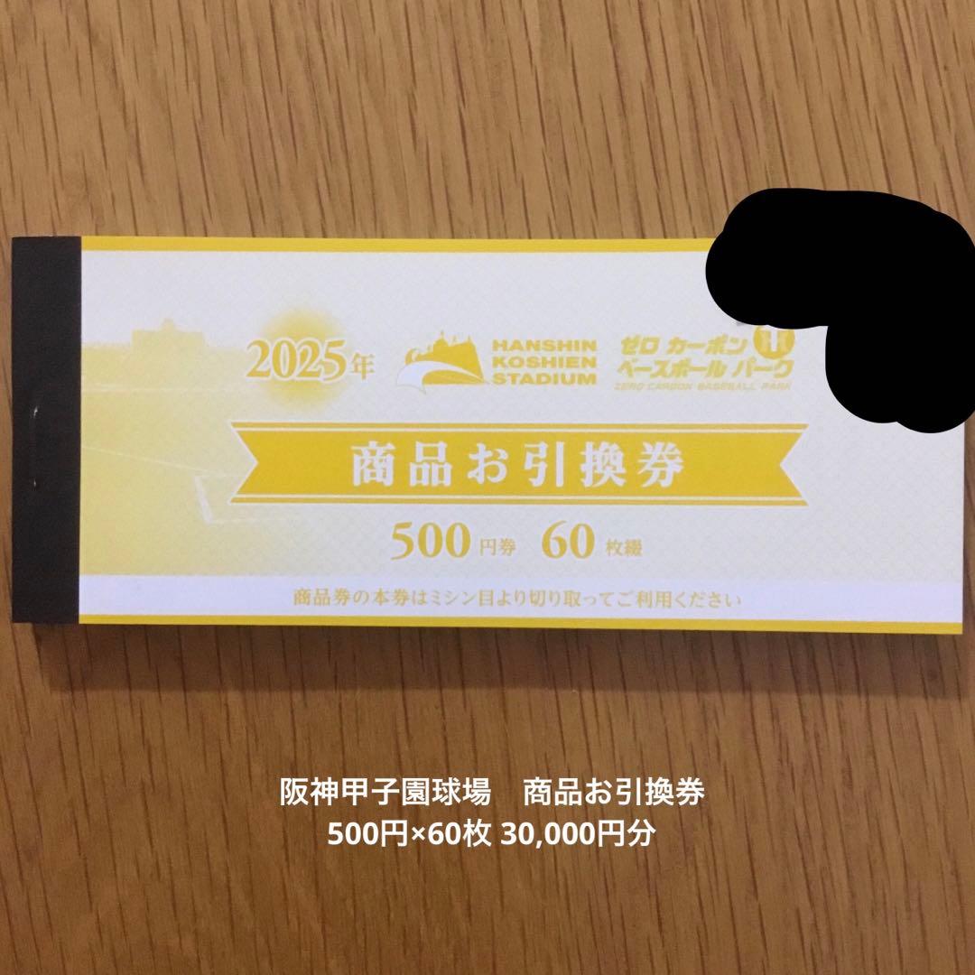 阪神甲子園球場 商品お引換券 500円×60枚 30，000円分