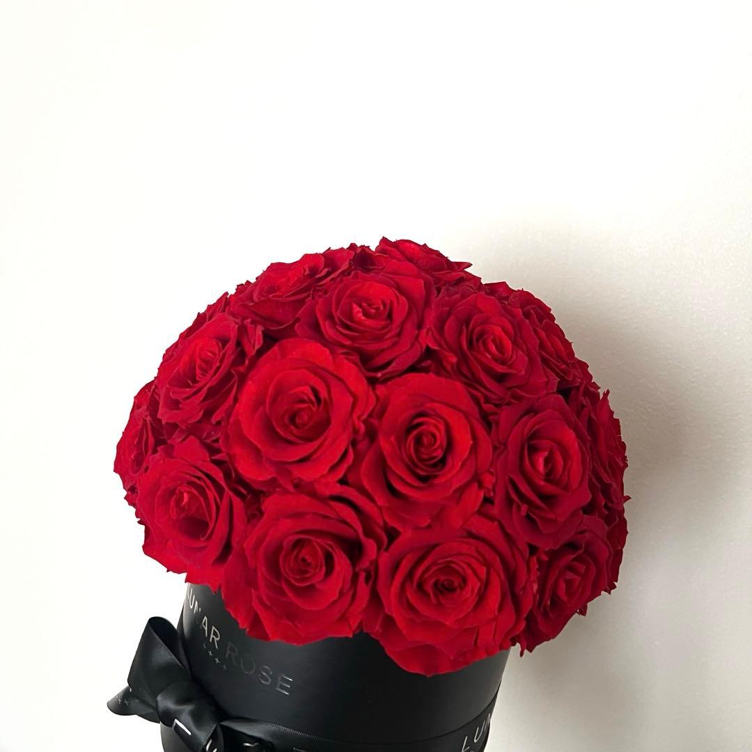美品】LUNAR ROSE プリザーブドフラワー ローズ バラ 薔薇