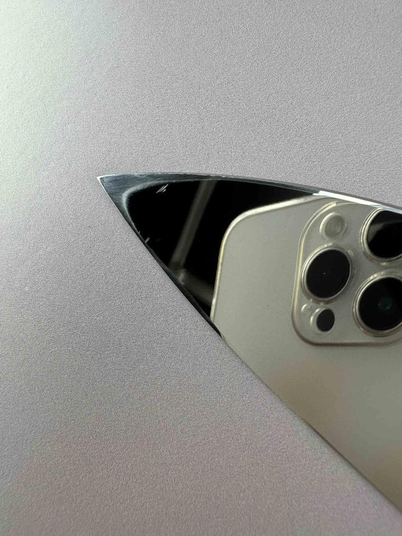 5664 出刃包丁 8寸 刺身包丁 ウルトラ鏡面仕上げ 黒檀水牛角二本銀巻