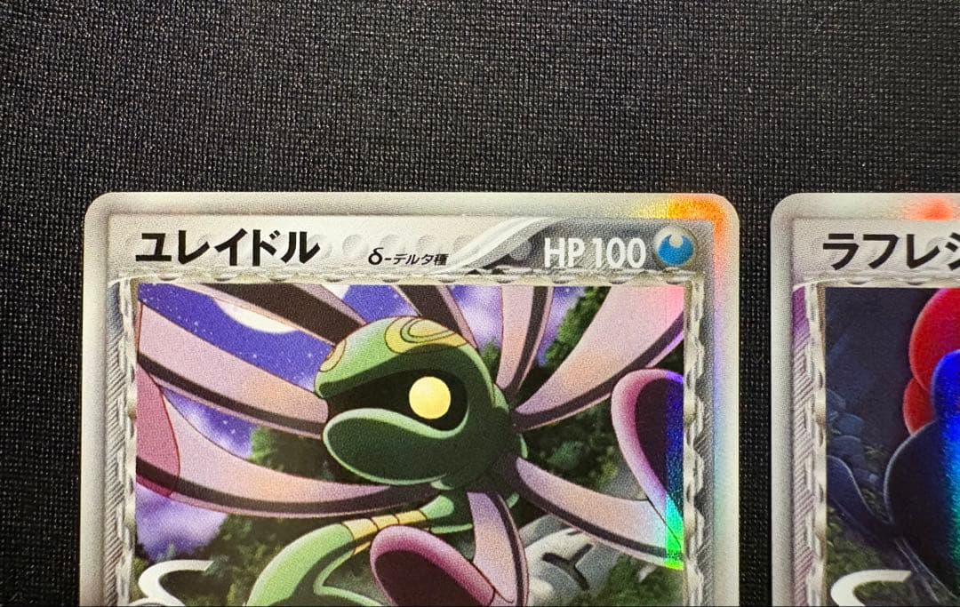 まとめ】オーダイル デンリュウ ラフレシア ユレイドルδ デルタ種 2006