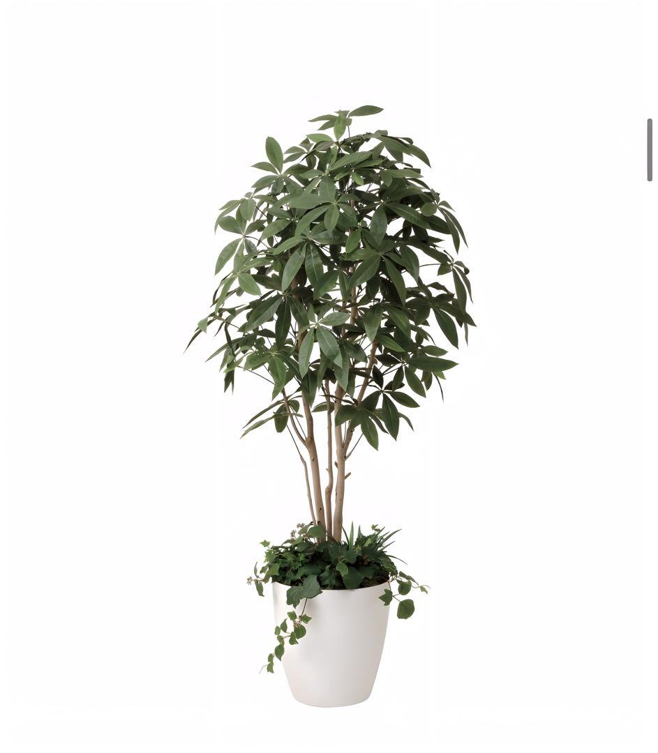 光触媒　人工観葉植物　フェイクグリーン　パキラ（植栽付） 高さ 1.8ｍ
