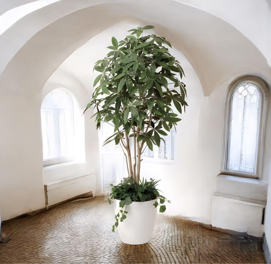 光触媒　人工観葉植物　フェイクグリーン　パキラ（植栽付） 高さ 1.8ｍ