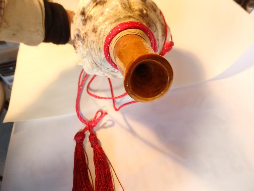 法螺貝 約40㎝ 木製歌口,赤紐付 新品 MH-440