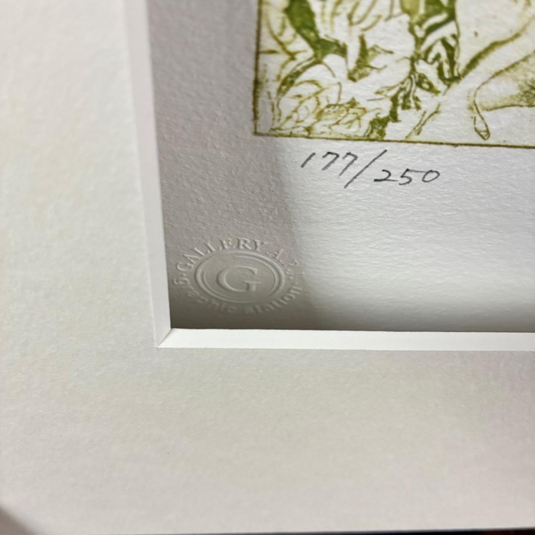 美品 ジョアン・アイザック「The Garden」ジクレー 直筆サイン・保証書