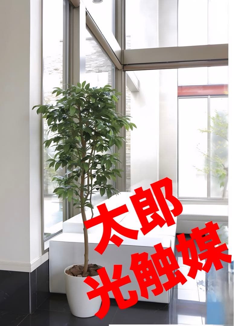 光触媒　人工観葉植物　フェイクグリーン　アルデシア(万両) 高さ 1.6m