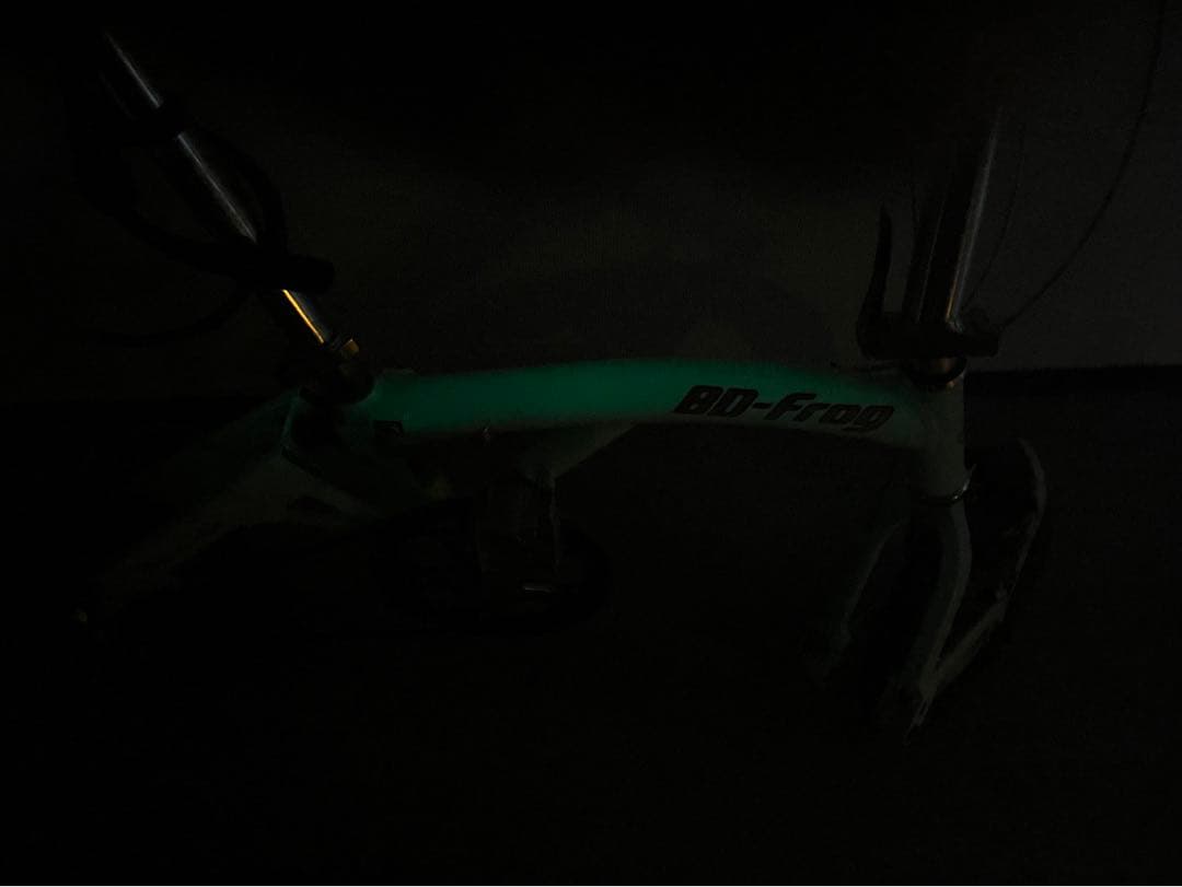 ライズ&ミューラー BD-1 フロッグ ルミナスグリーン - メルカリ