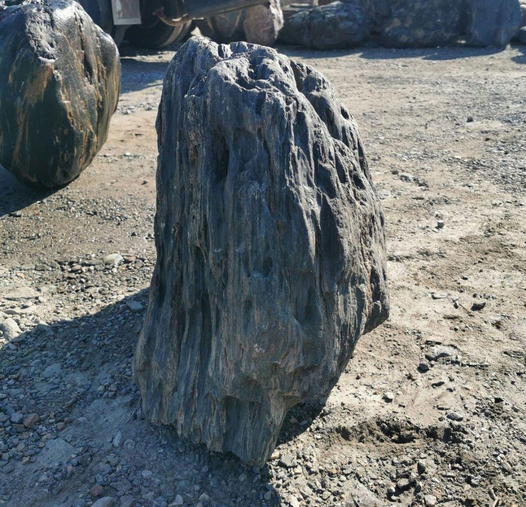 福島産 鮫川石 149キロ 庭石 鑑賞石 石 庭 坪庭 ガーデニング - メルカリ