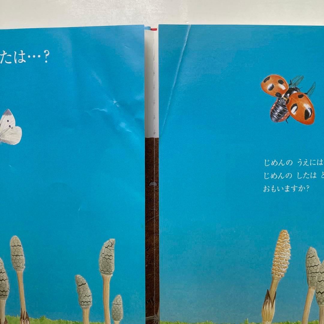キンダーブック】しぜん 22冊セット 絵本 フレーベル館 - メルカリ