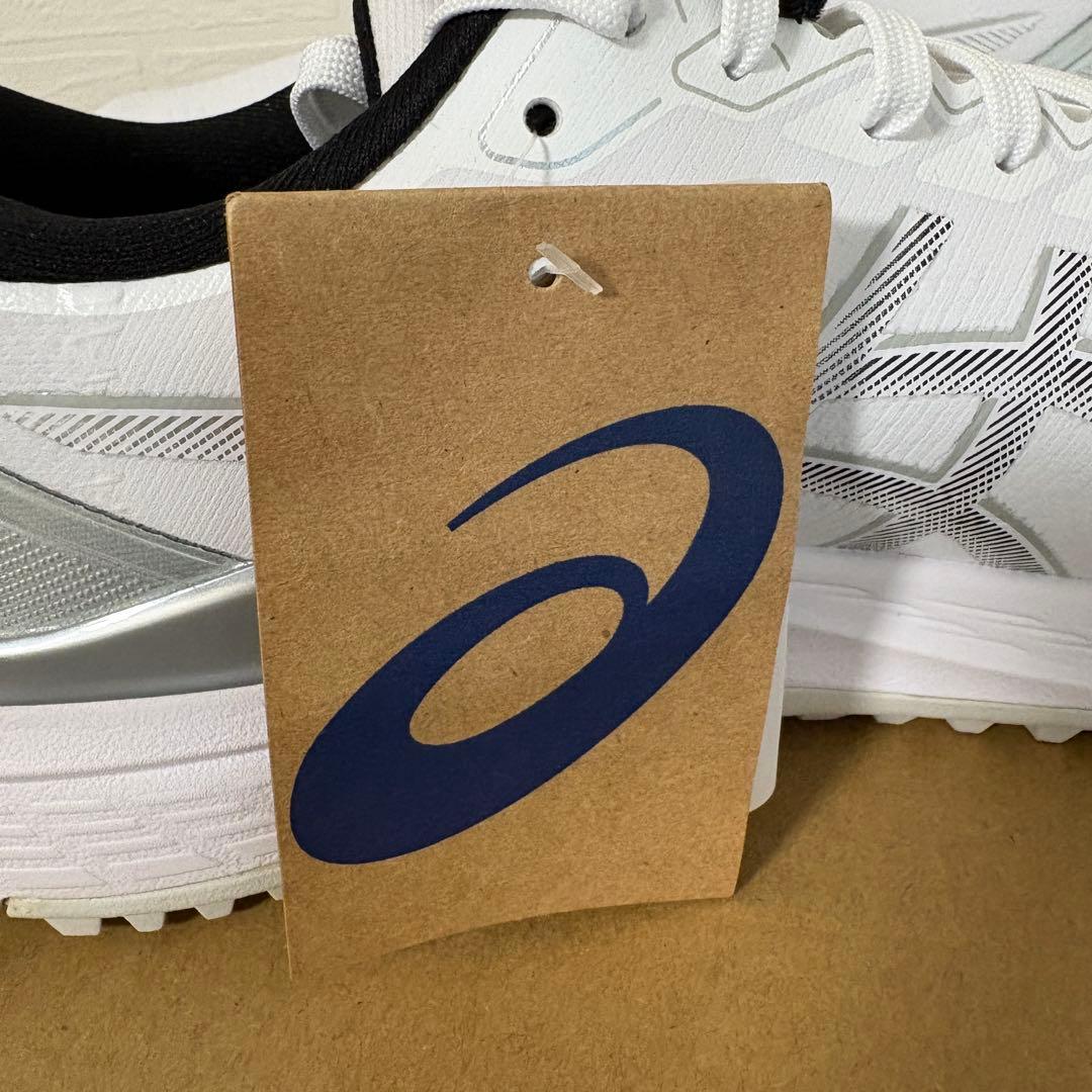 26.0cm☆アシックス GEL-KAYANO ACE 2 1111A243