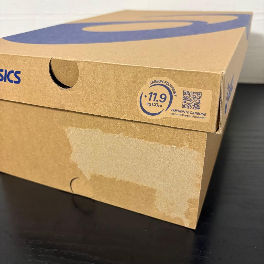 26.0cm☆アシックス GEL-KAYANO ACE 2 1111A243