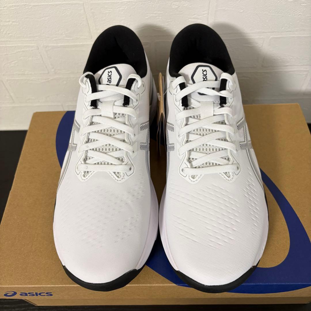 26.0cm☆アシックス GEL-KAYANO ACE 2 1111A243