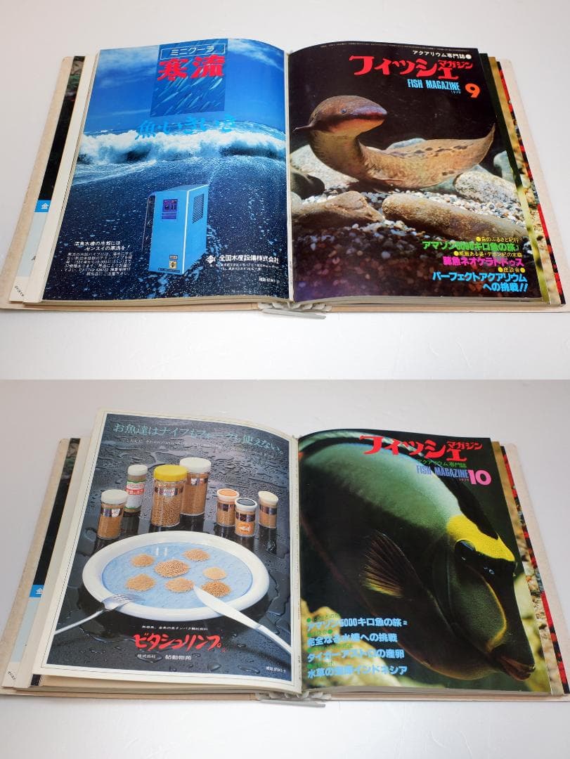 イ*3様 月刊フィッシュマガジン 1979年6月号～1981年2月