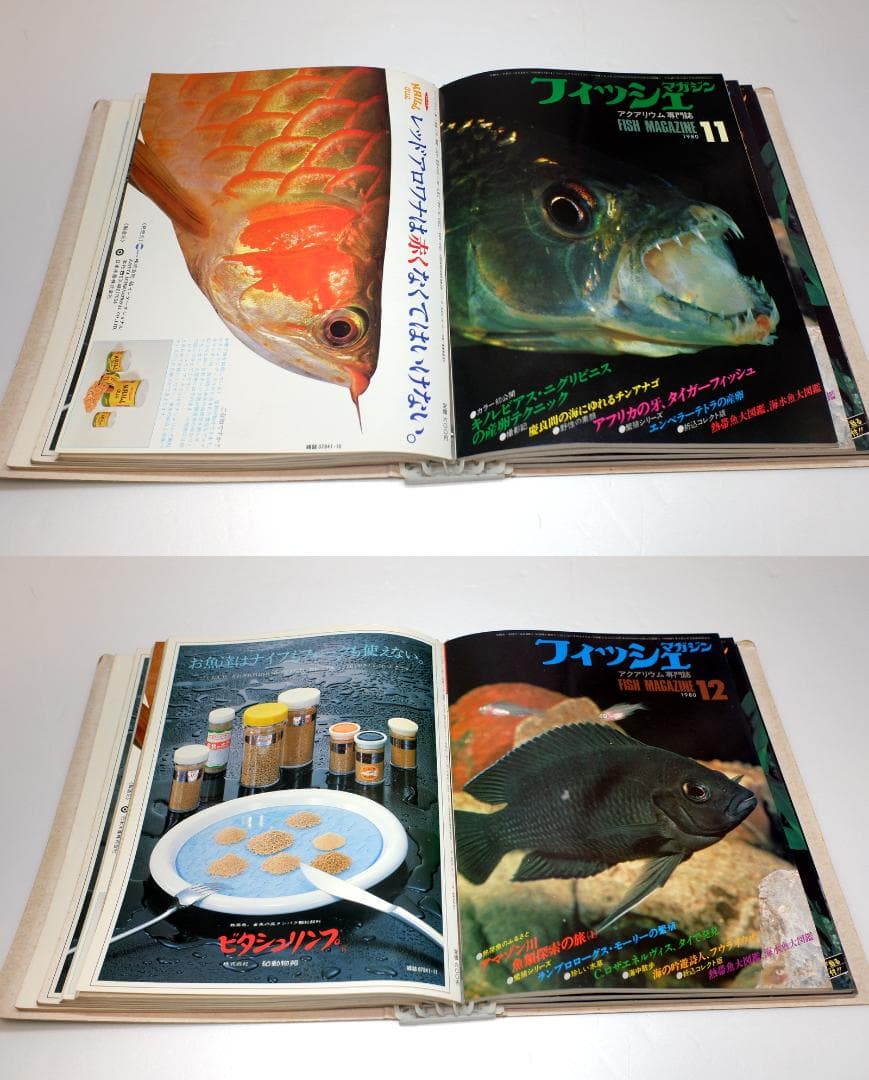 イ*3様 月刊フィッシュマガジン 1979年6月号～1981年2月