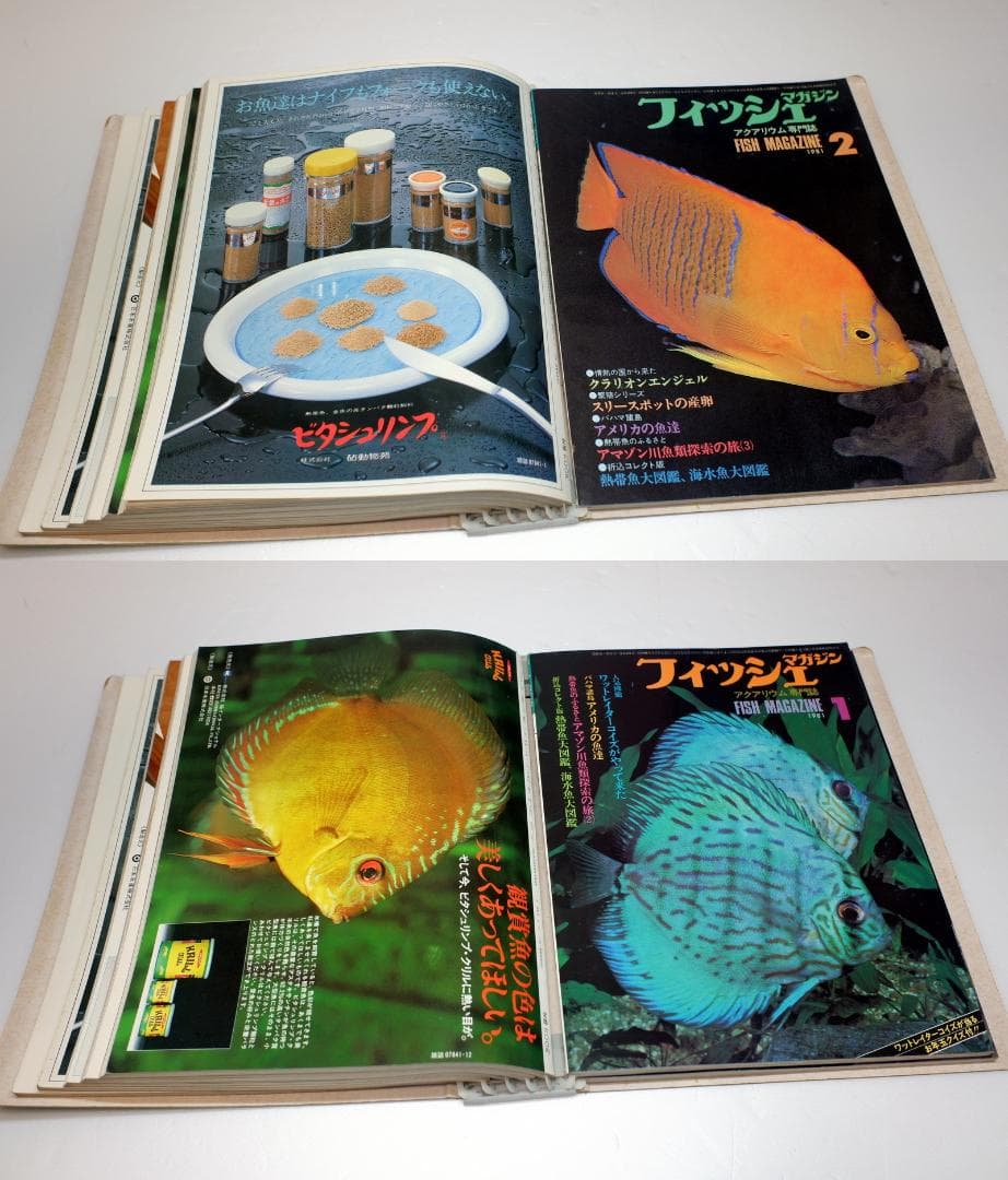イ*3様 月刊フィッシュマガジン 1979年6月号～1981年2月