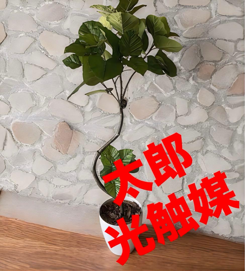 光触媒　人工観葉植物　ウォールグリーン　フェイクグリーン　ウンベラータ166a 光触媒 人工観葉植物 ウンベラータ【光の楽園】