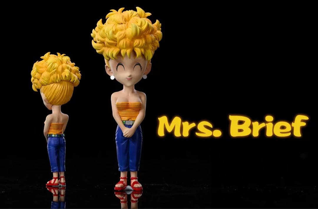 ドラゴンボール ブリーフ博士 ガレキ ガレージキット スタチュー①