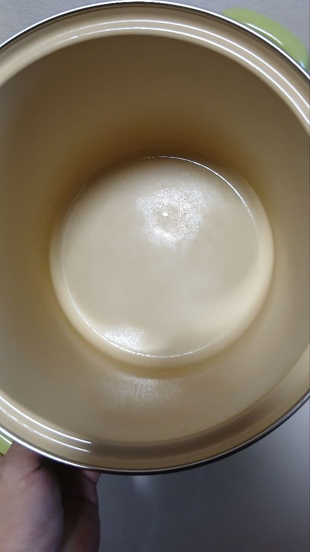 LE CREUSET stockpot カラーPALM 9.5L