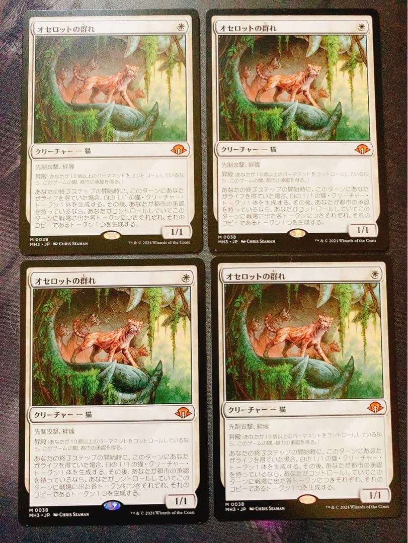 オセロットの群れfoil 4枚セット