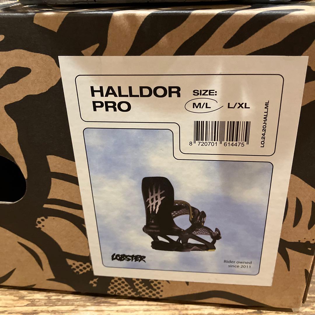 23-24 LOBSTER HALDOR PRO Mサイズ 美品 www.campusflo.com