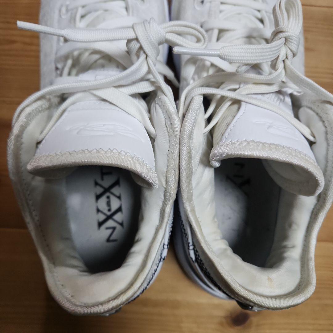 NIKE　レブロン　NXXT GEN EP 29.0cm