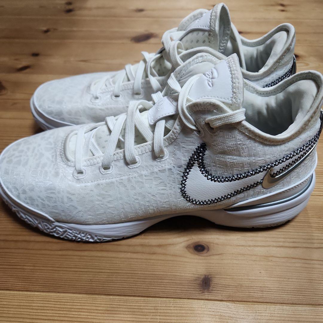 NIKE　レブロン　NXXT GEN EP 29.0cm