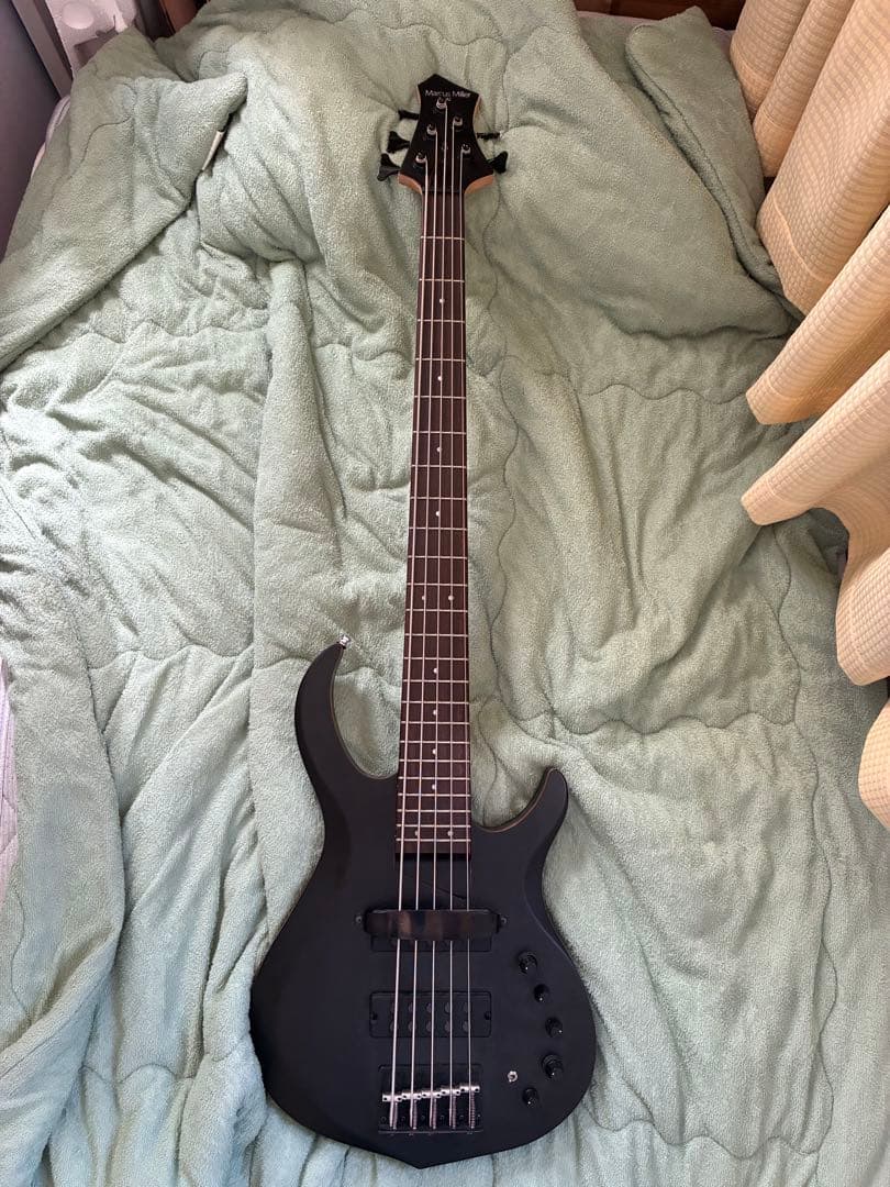 Sire m2-5st 純正ギグケース　値下げ交渉応じます